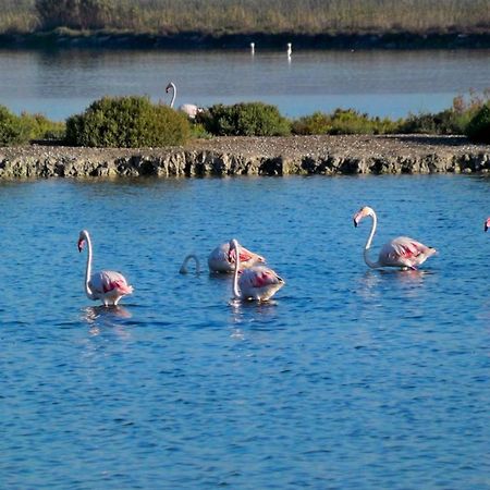 Apartamento Salamanca 4 En Santa Pola Eksteriør bilde